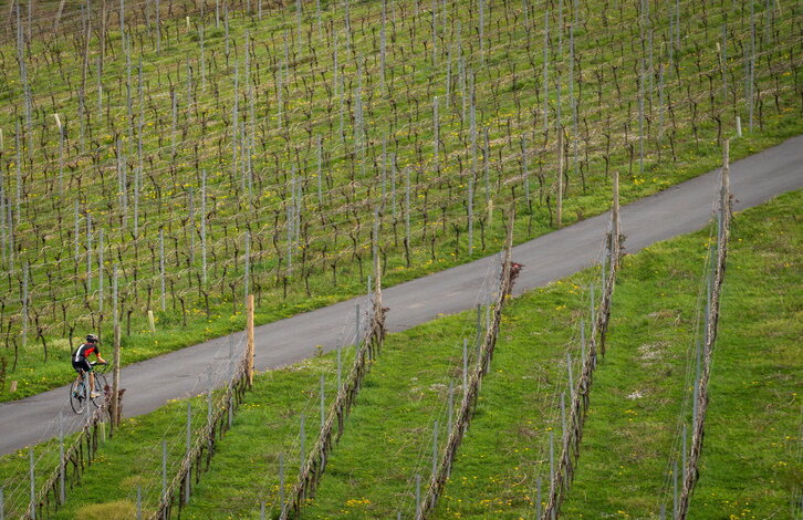 Fd-2024-03-23-aa_20230323294692