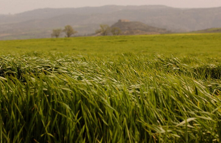 Fd-2024-03-24-nat_030324_1649