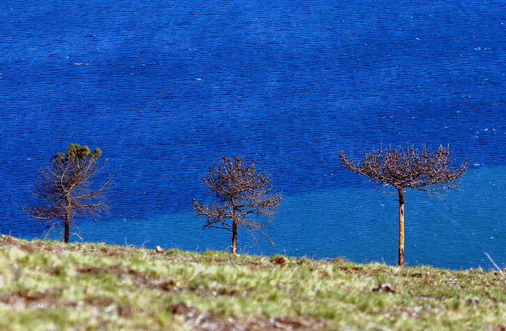 Fd-2024-03-24-nat_030324_1661