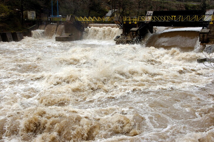 Fd-2024-03-24-nat_070324_0591