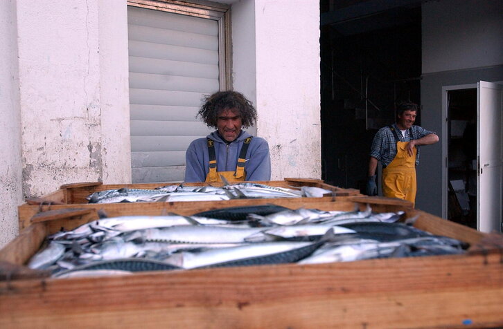 Fd-2024-03-25-eko_030325_0419