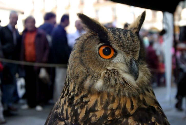 Fd-2024-03-25-giz_060325_7273