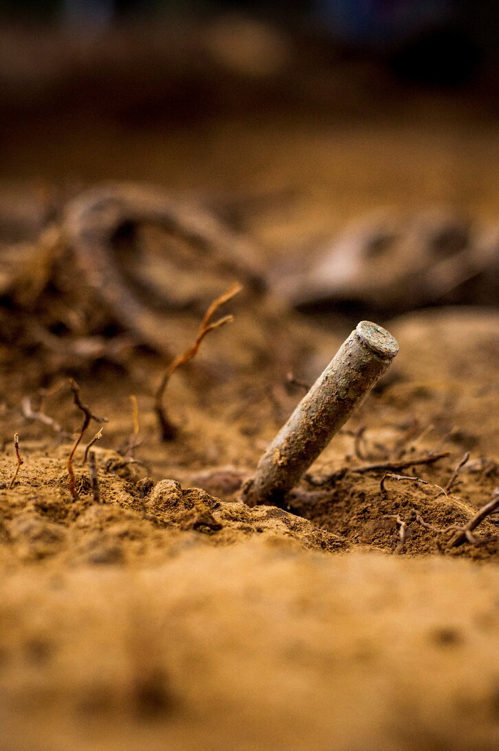 Fd-2024-03-25-kul170325_0010