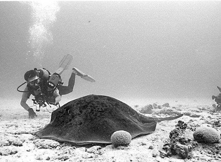 Fd-2024-03-26-etx_990326_633114