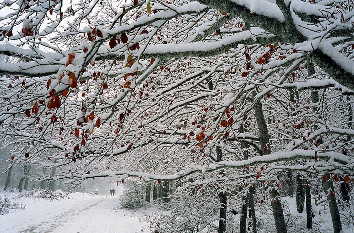 Fd-2024-03-26-etx_010326_275579