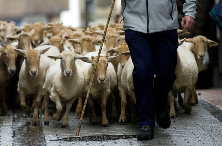 Fd-2024-03-26-giz_080326_6204