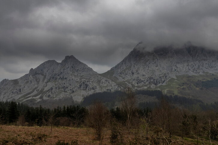 Fd-2024-03-26-bb_20210326016010