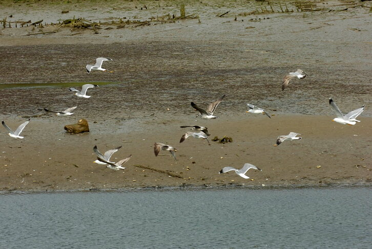 Fd-2024-03-27-nat_060327_0913