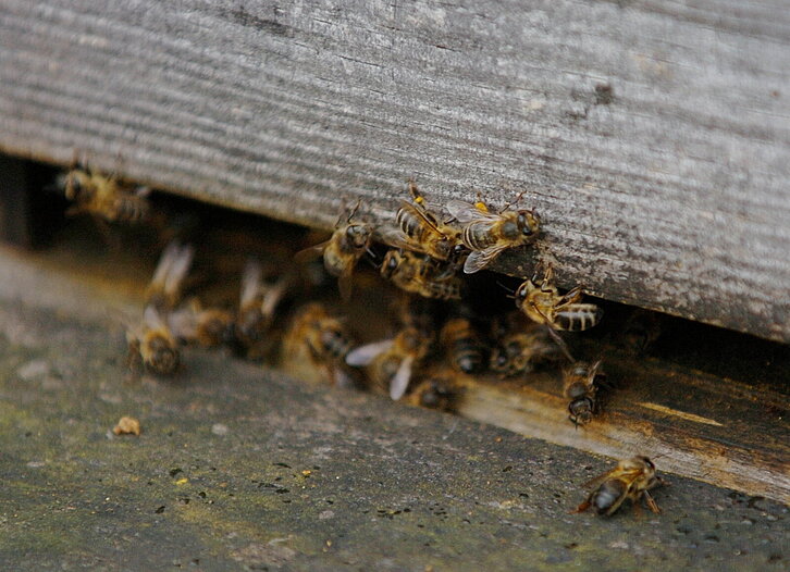 Fd-2024-03-27-eko_060327_1904