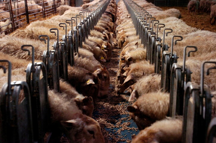 Fd-2024-03-27-giz_070327_3642