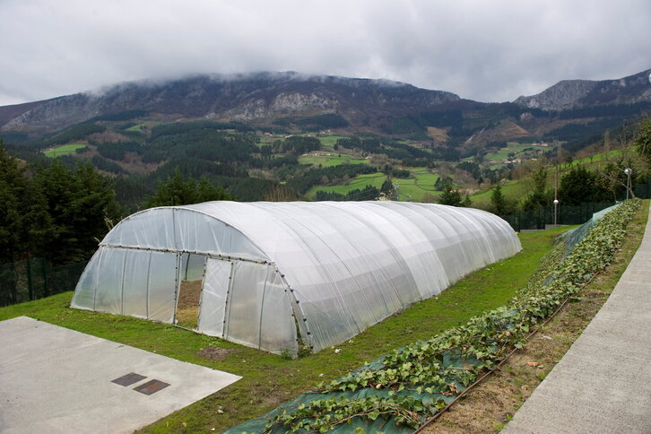 Fd-2024-03-28-pol_110328_0142