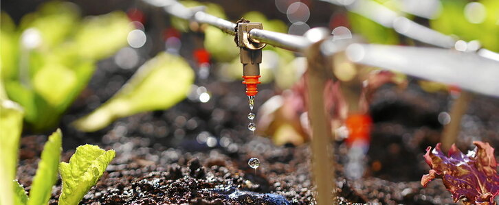 Ureztapen sistemak optimizatzen laguntzeko, Neiker zetro teknologikoak behar hidrikoak kalkulatu eta ureztapena maneiatzeko gida bat landu du.