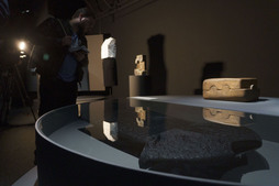 Imagen de la muestra.