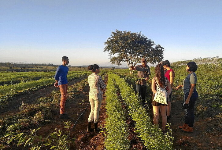 Duela bost urte Brasilen egindako brigada.