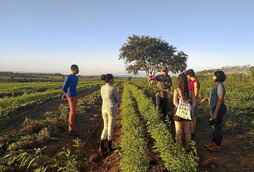 Goian, duela bost urte Brasilen egindako brigada.