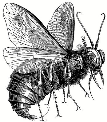 Beltzebu, «Eulien jauna».