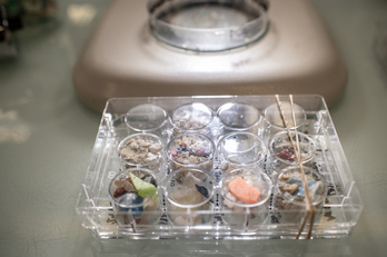 Muestras de microplásticos tomadas en Bidarte. 