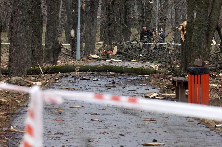 Daños causados por el ataque ruso en una zona de arbolado de Kiev.