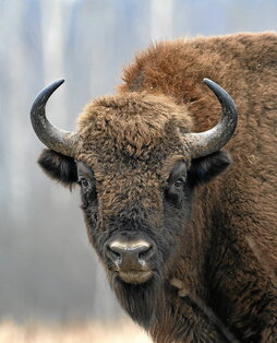 gara-2024-03-25-Reportaje