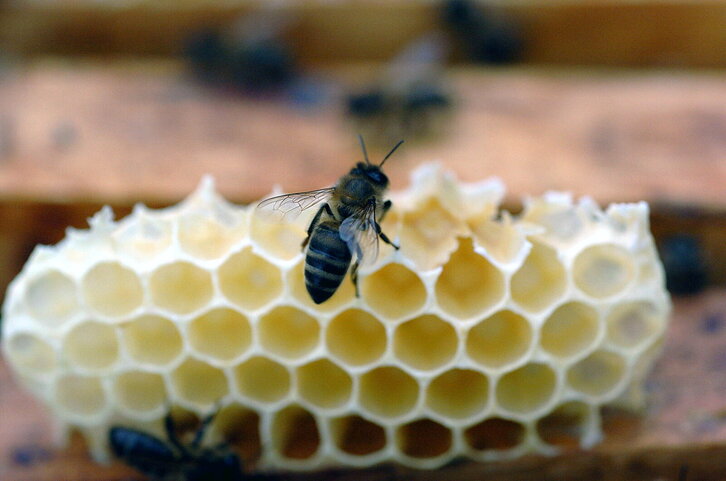 Fd-2024-03-30-giz_040330_4960