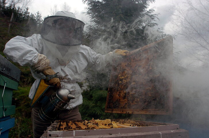 Fd-2024-03-30-giz_040330_4973