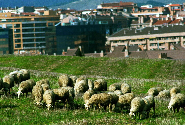 Fd-2024-03-31-etx_990331_631698