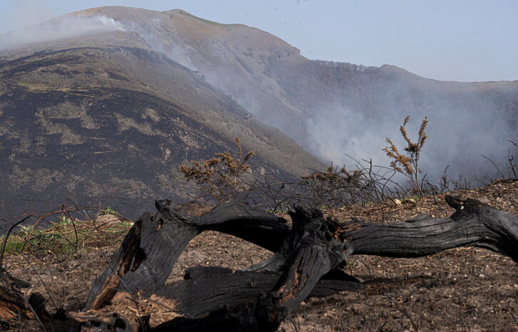 Fd-2024-03-31-bb_20210331017381