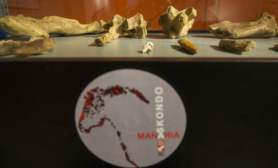 Algunas de las piezas halladas en  cueva de Askondo.