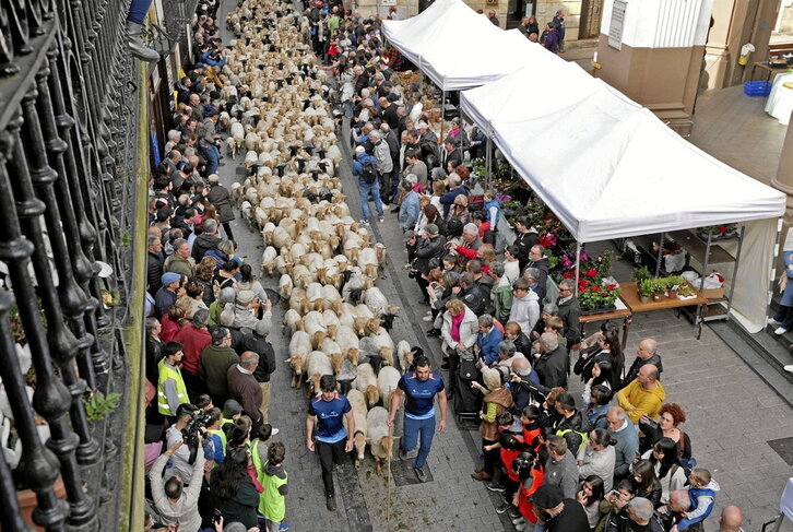 Bost artzainen taldeak ibili ziren atzo Ordiziako kaleetan barrena.