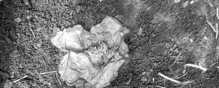 Ilustrazioa: Ula IRURETAGOIENA BUSTURIA