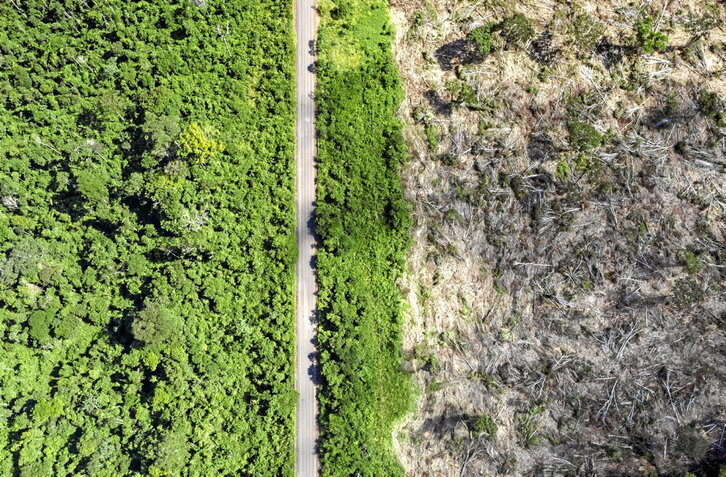 Deforestación del Amazonas debida a las plantaciones de soja para alimentación de ganado.