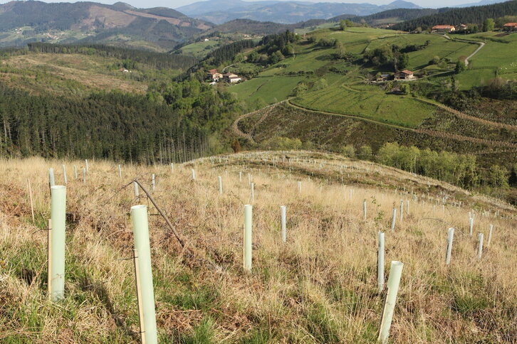 Fd-2024-04-13-aa_fku_kol_00019367