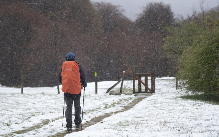 Fd-2024-04-13-bb_20230413300409