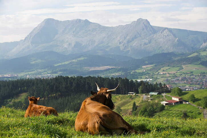 Fd-2024-04-20-giz_110420_0058