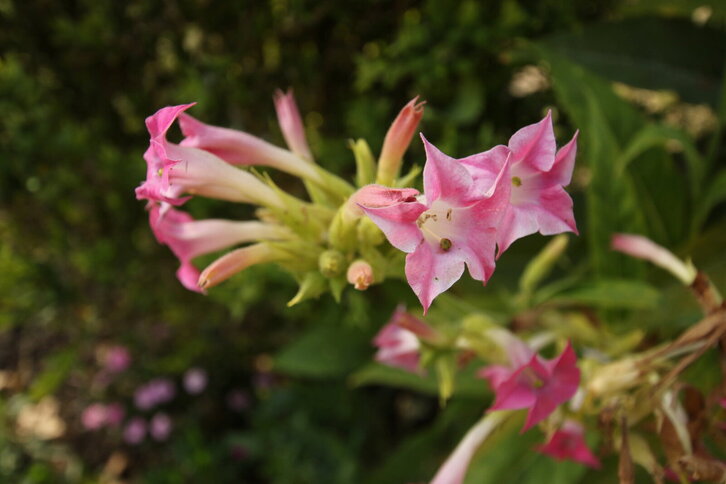 Fd-2024-04-20-aa_fku_kol_00020975