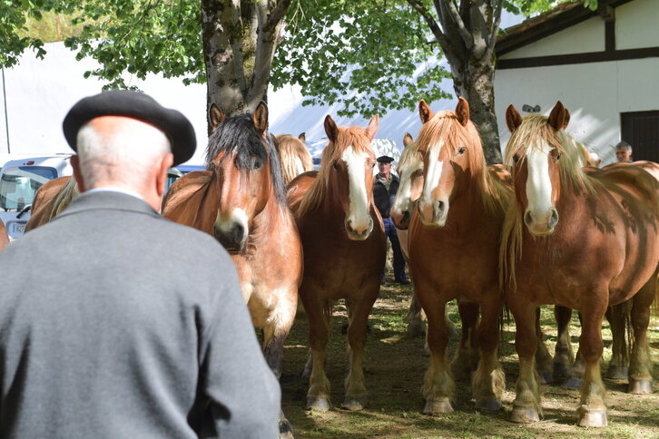 Fd-2024-04-21-eko170421_0013