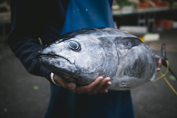 Le plus gros du quota de pêche est attribué en Méditerranée.