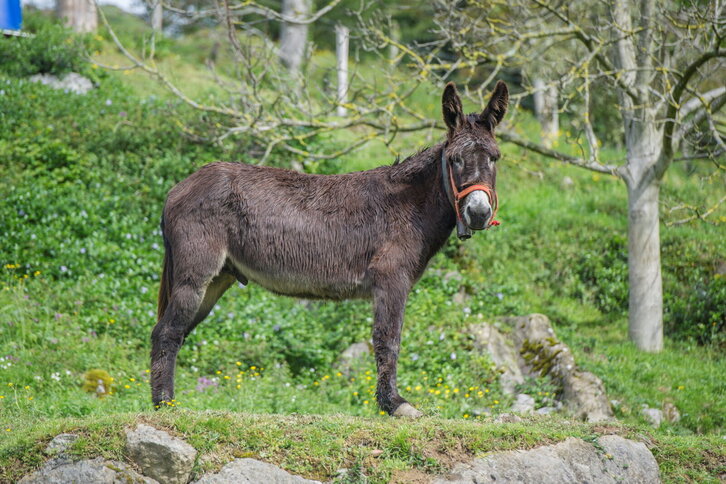 Fd-2024-04-24-nat140424_0028