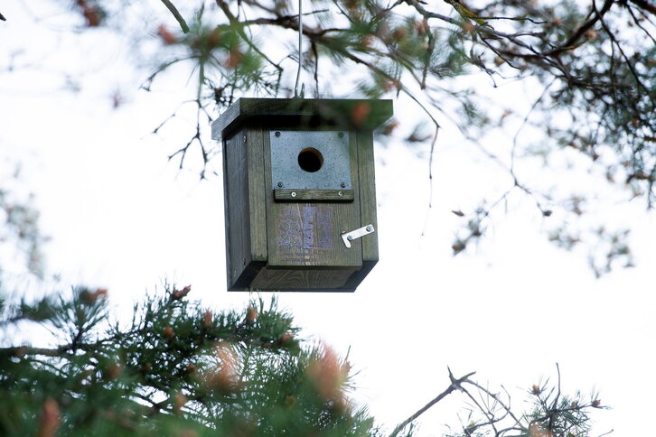 Fd-2024-04-24-aa_20210425021796