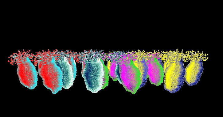 La exposición de Mikel Otxoteko «El plano de fondo», instalada en el Centro Cultural Montehermoso hasta el 26 de mayo, abarca proyecciones, rótulos luminosos y una instalación escultórica, entre otros.