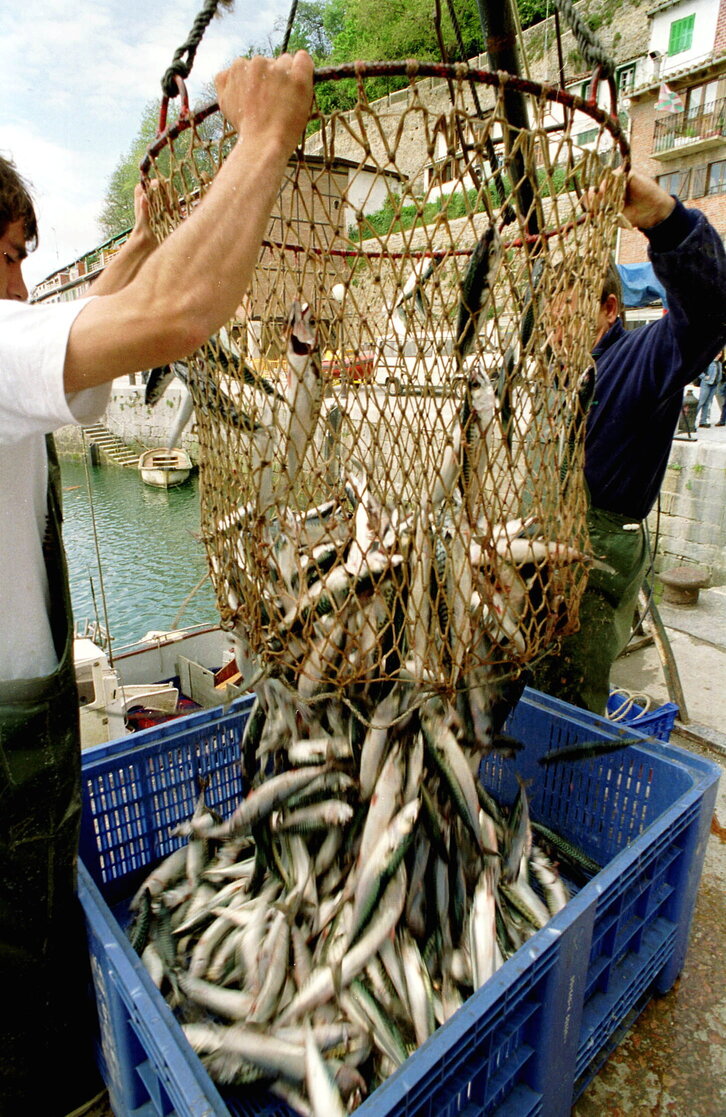 Fd-2024-04-27-etx_990427_635105