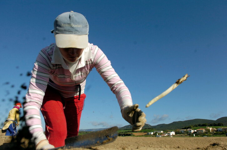 Fd-2024-04-30-eko_080430_3389