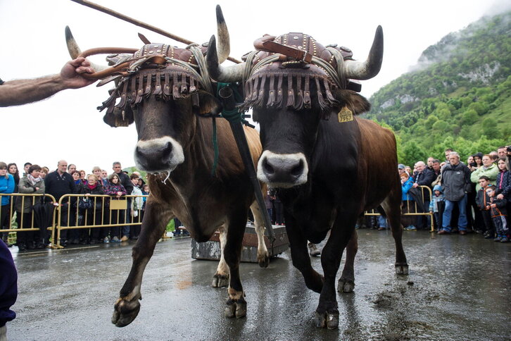 Fd-2024-05-01-giz140501_0005