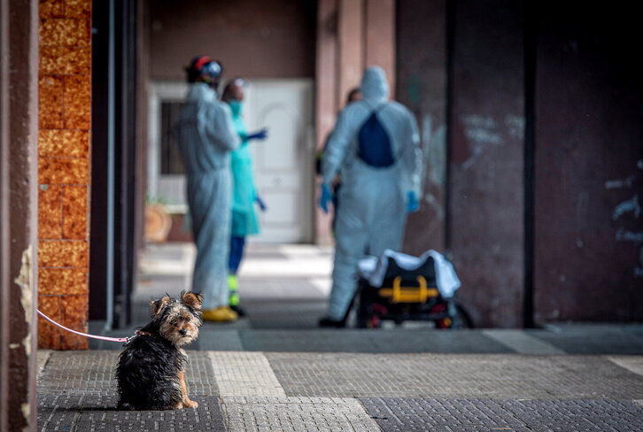 Fd-2024-05-01-giz200501_0077