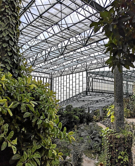 Estufa Friaren irudi bat; alegia, Lisboaren bihotzean kokatutako lorategi, urmael, landare eta zuhaitzak dituen negutegiarena.