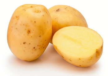 gara-2024-04-19-Noticia