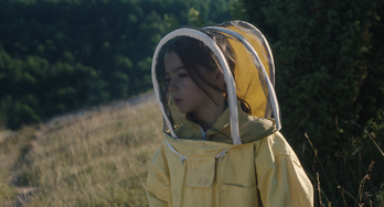 Imagen de la película ‘20.000 especies de abejas’.