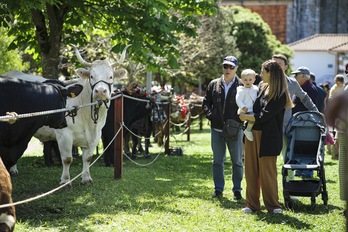 Joan zen igandean giro ezin hobearekin ospatu zen Gatikako ganadu feria.