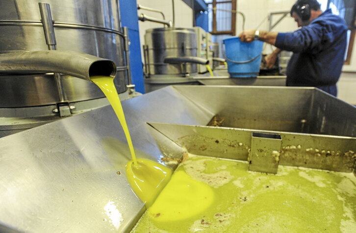 Fotografía de un trujal navarro exprimiendo la oliva en una campaña anterior.