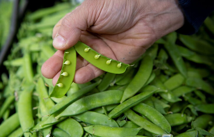 Fd-2024-05-03-aa_20210503023328